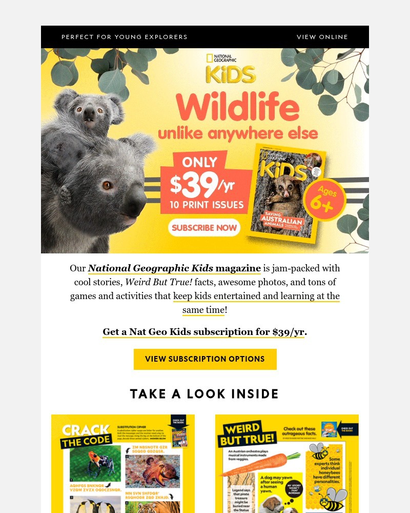 Screenshot of email with subject /media/emails/nat-geo-kids-just-39yr-did-you-know-a-dog-may-yawn-after-seeing-a-human-yawn-5cec_RzzW4gu.jpg