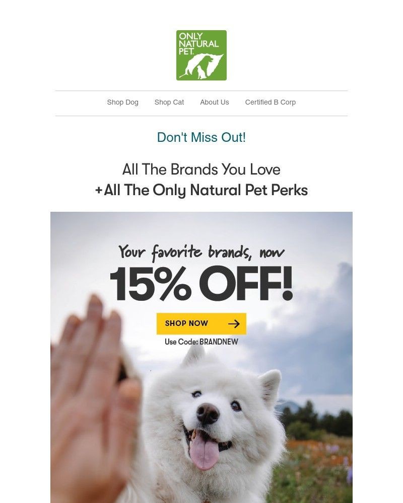 Screenshot of email with subject /media/emails/national-brands-are-15-off-f32c0a-cropped-af05b523.jpg