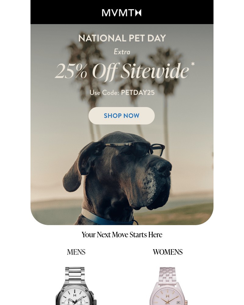 Screenshot of email sent to a MVMT Newsletter subscriber