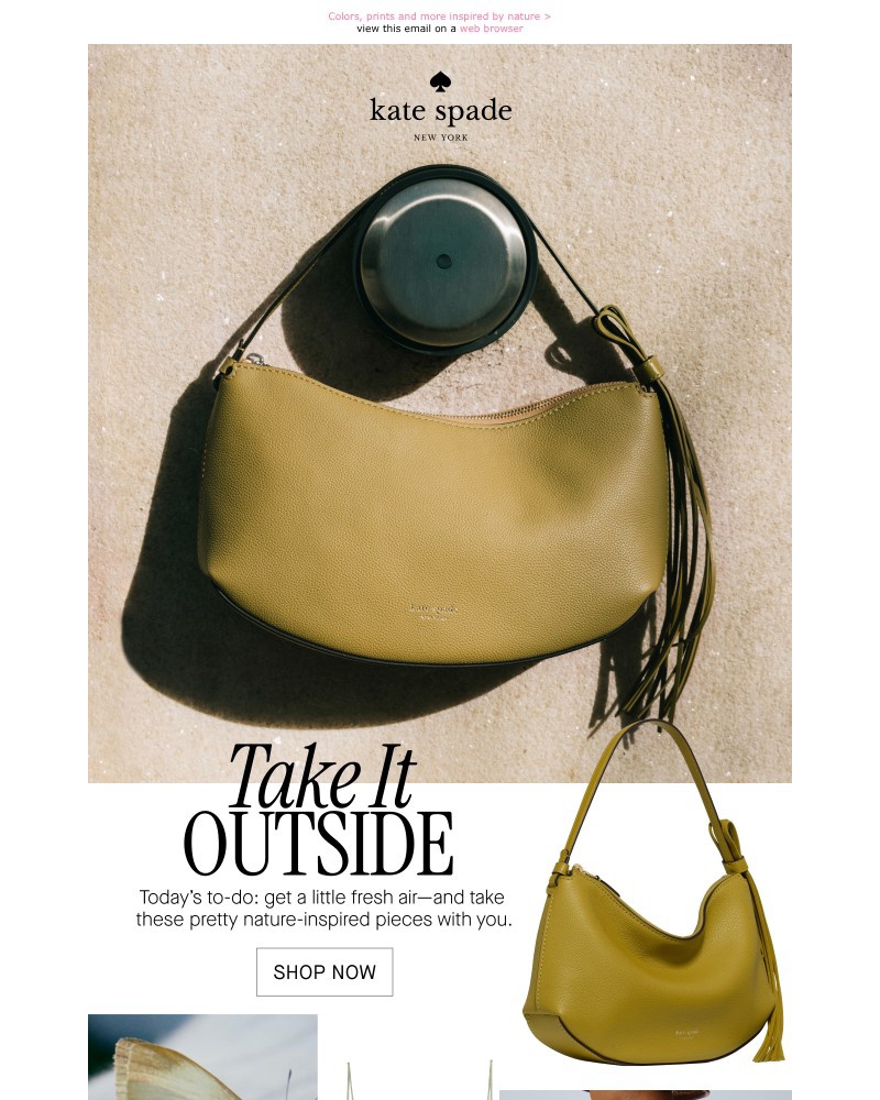 Screenshot of email sent to a Kate Spade Newsletter subscriber