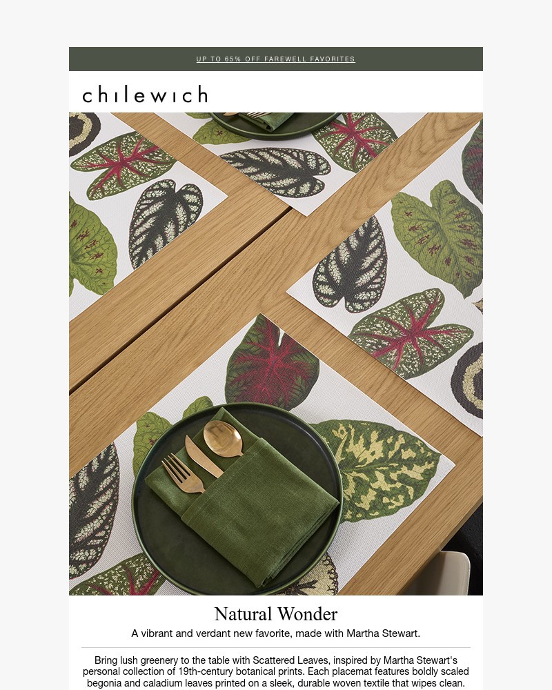 Screenshot of email with subject /media/emails/naturally-inspired-by-martha-stewart-scattered-leaves-dbbded-cropped-579b314b.jpg