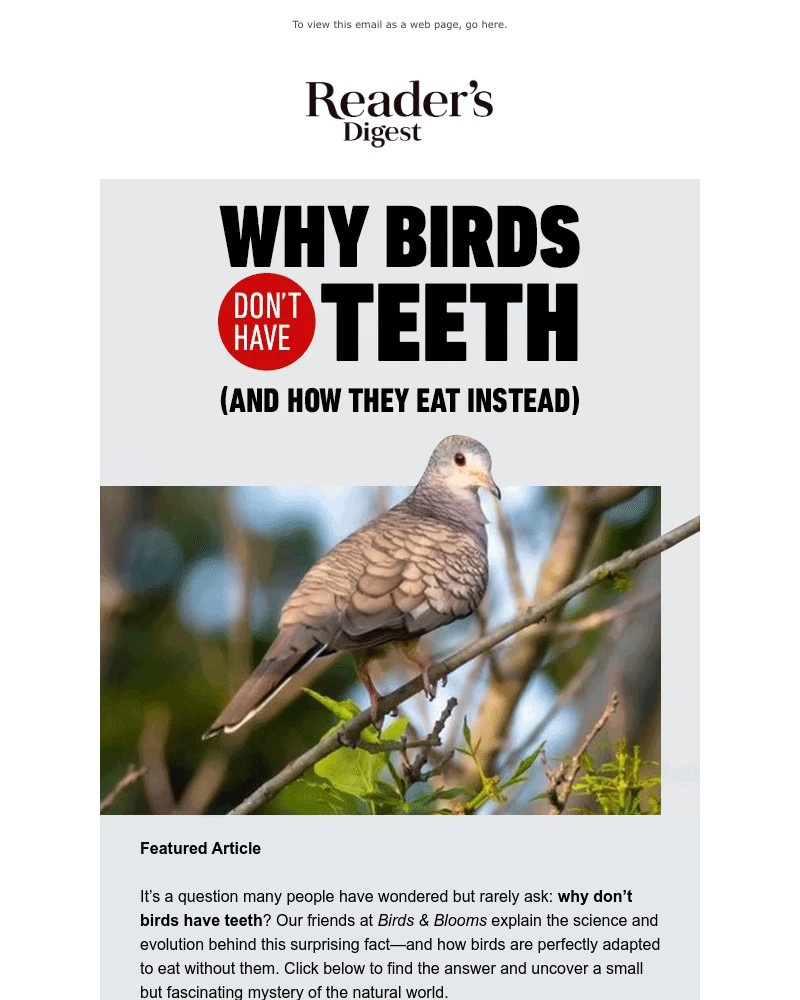 Screenshot of email with subject /media/emails/natures-toothless-wonder-e8b5ef-cropped-5d016860.jpg
