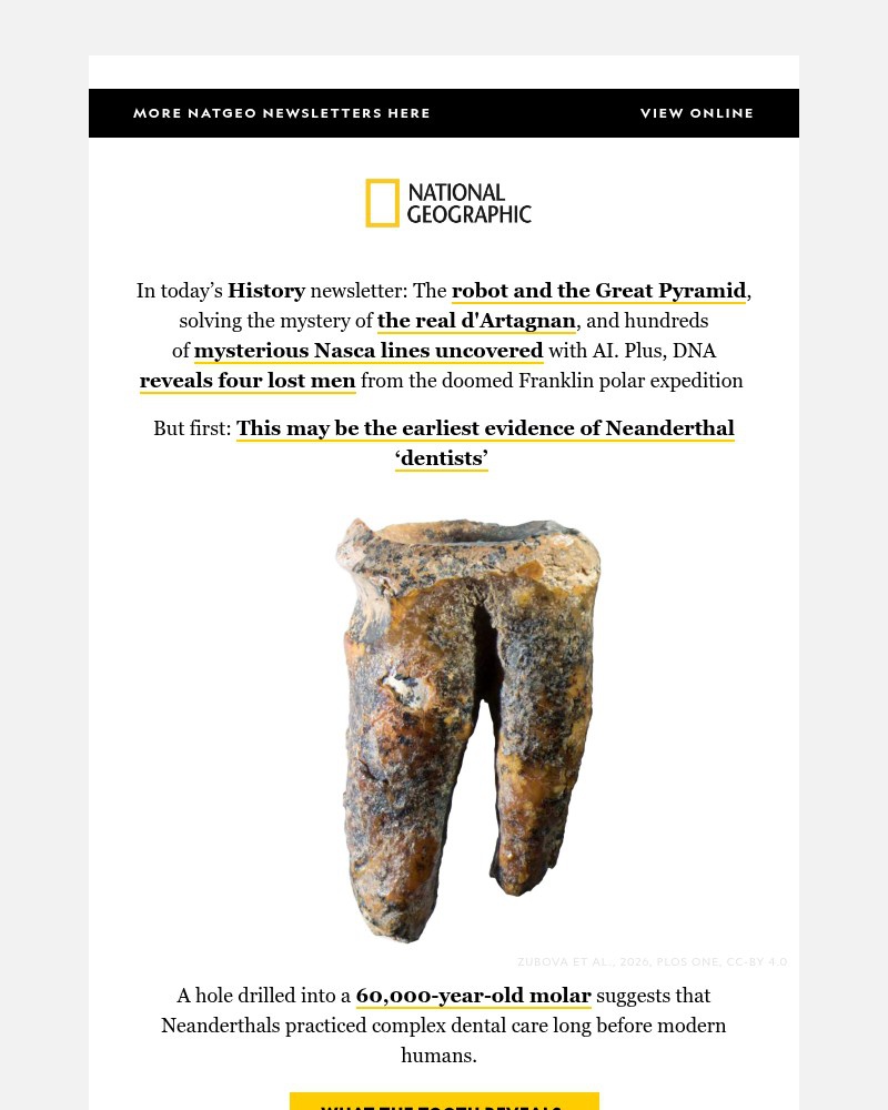 Screenshot of email with subject /media/emails/neanderthal-dentists-news-from-the-doomed-franklin-polar-expedition-solving-the-m_nRk8LzD.jpg