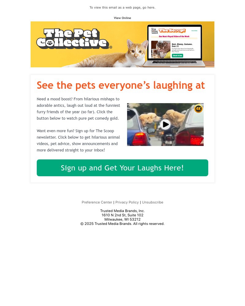 Screenshot of email with subject /media/emails/need-a-laugh-watch-this-45936e-cropped-07c82a31.jpg