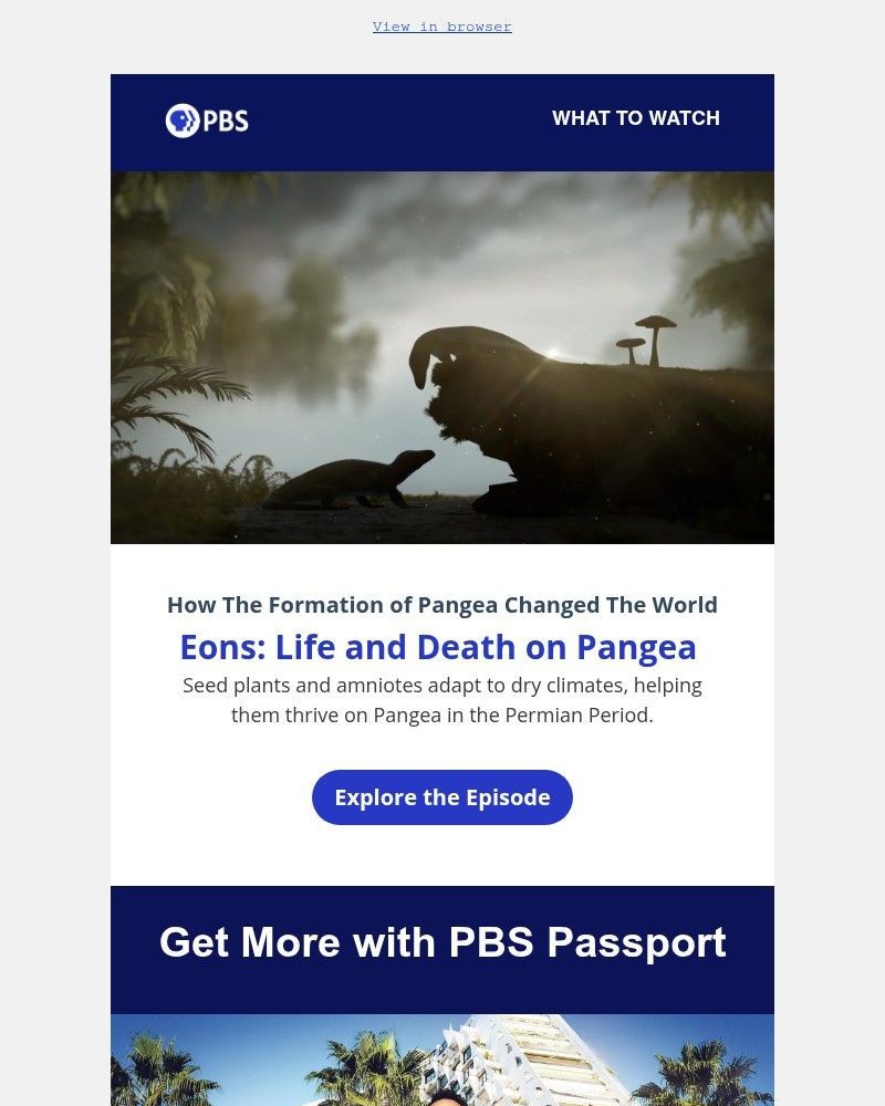 Screenshot of email with subject /media/emails/need-a-reason-to-stay-in-ca65dc-cropped-2d65dc7f.jpg