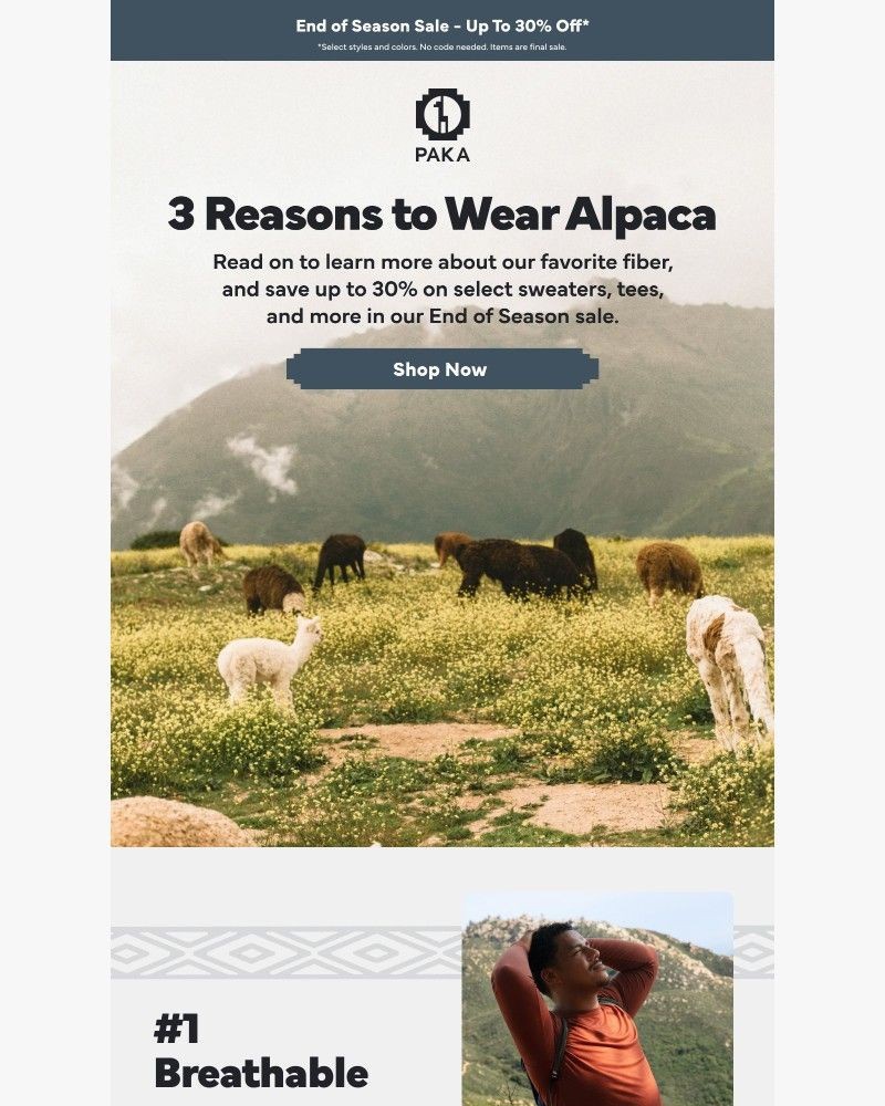 Screenshot of email sent to a Paka Newsletter subscriber