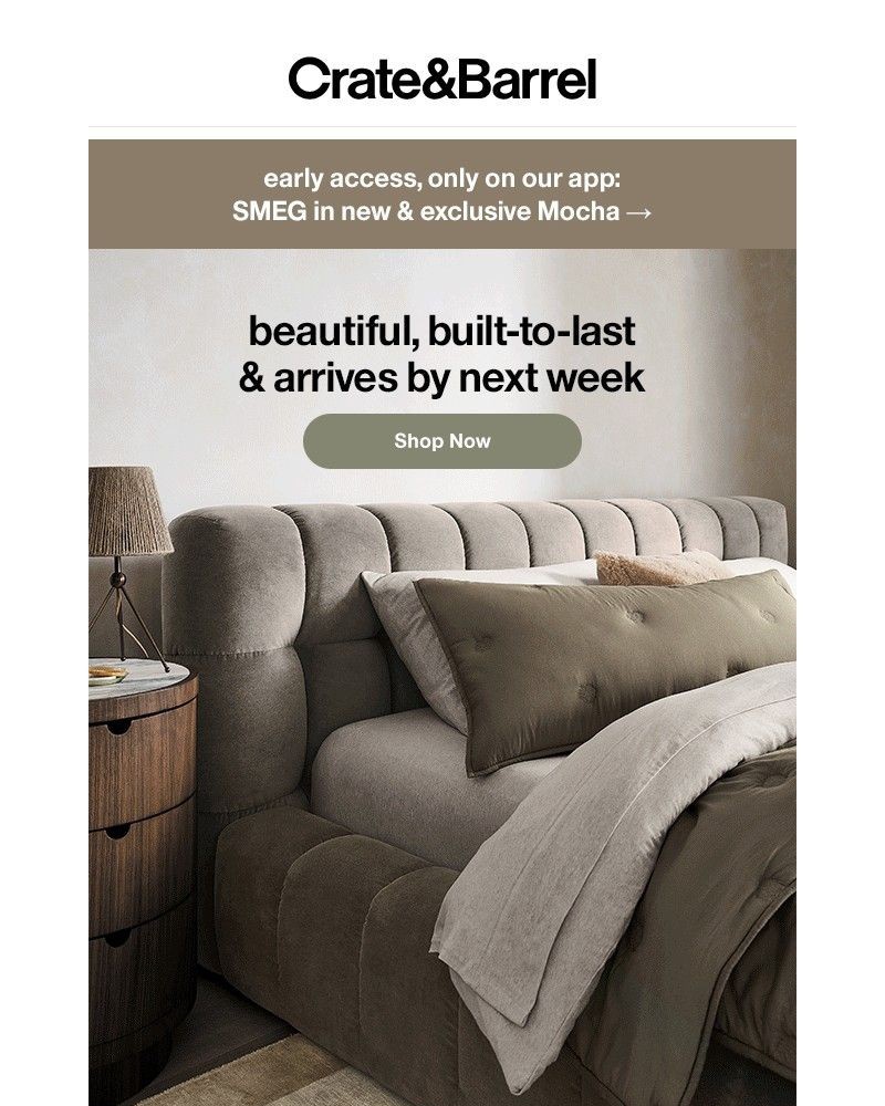 Screenshot of email with subject /media/emails/need-it-fast-hows-next-week-de8785-cropped-cec4f54c.jpg