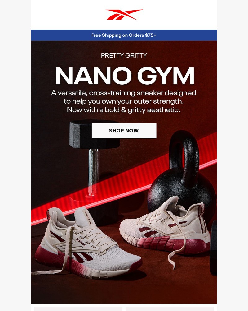 Screenshot of email with subject /media/emails/need-new-gym-shoes-ec6df3-cropped-e7ad4f85.jpg