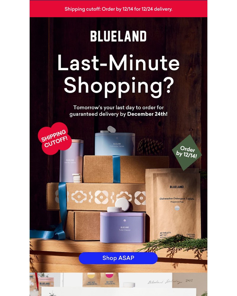 Screenshot of email with subject /media/emails/need-that-gift-wrapped-and-ready-3338e5-cropped-04595ce6.jpg