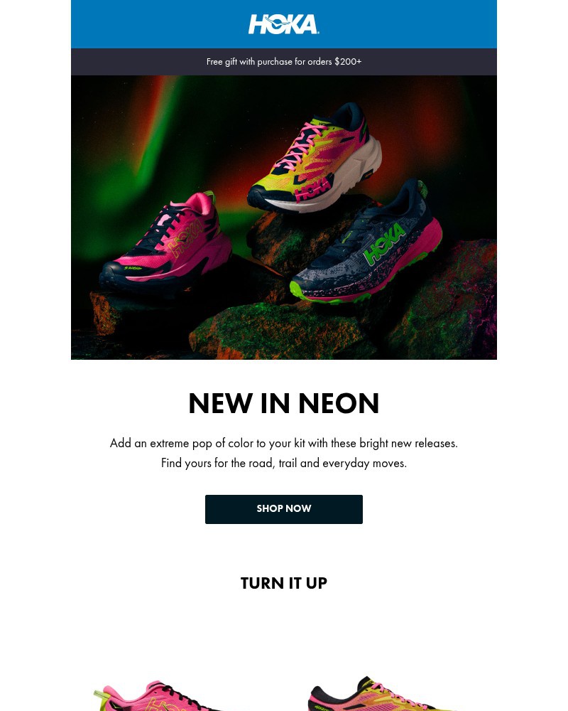 Screenshot of email with subject /media/emails/neon-is-in-3c3e1c-cropped-13c821ce.jpg