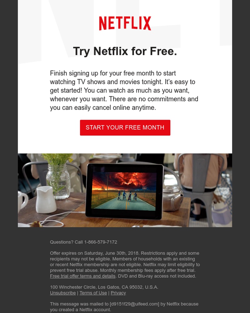 Screenshot of email sent to a Netflix Cart abandoner