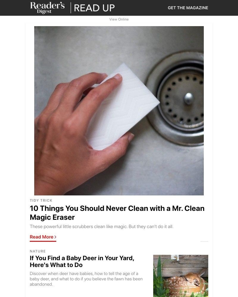 Screenshot of email with subject /media/emails/never-clean-this-with-a-magic-eraser-b9f53b-cropped-f9fa08cb.jpg