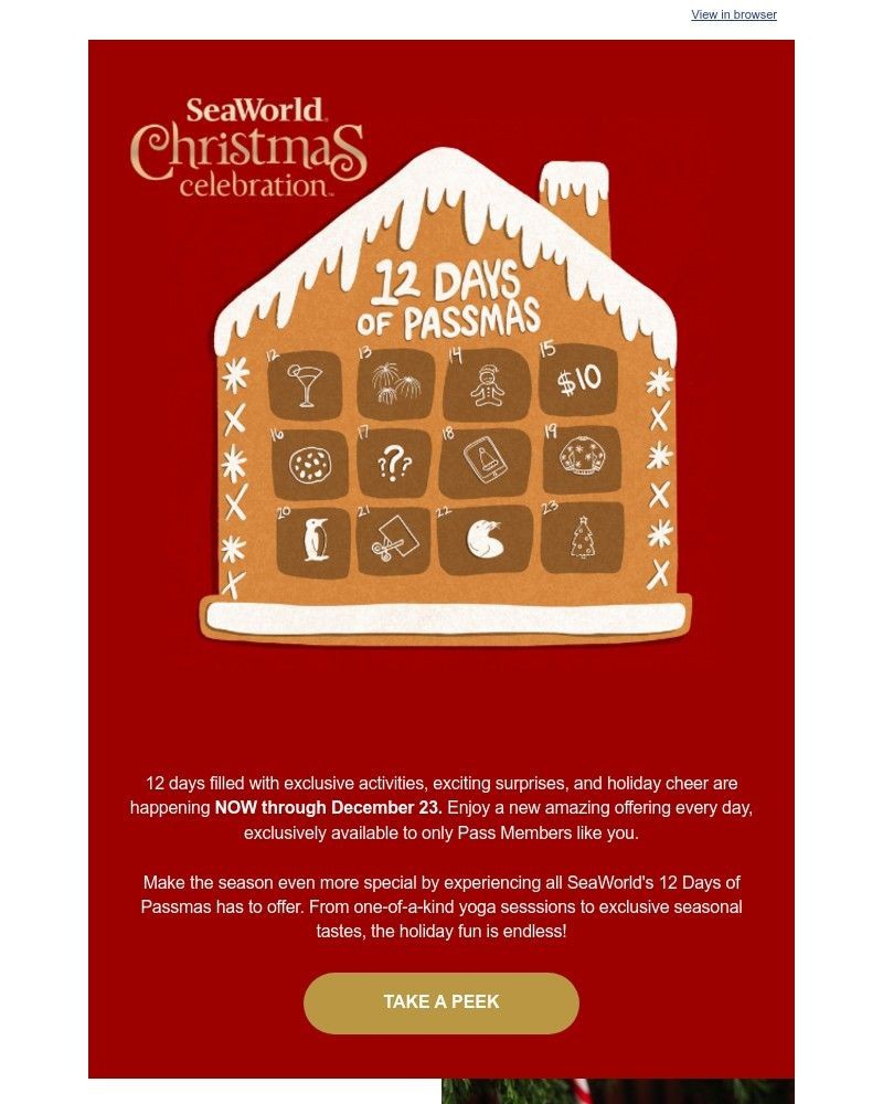 Screenshot of email sent to a Sea World Newsletter subscriber