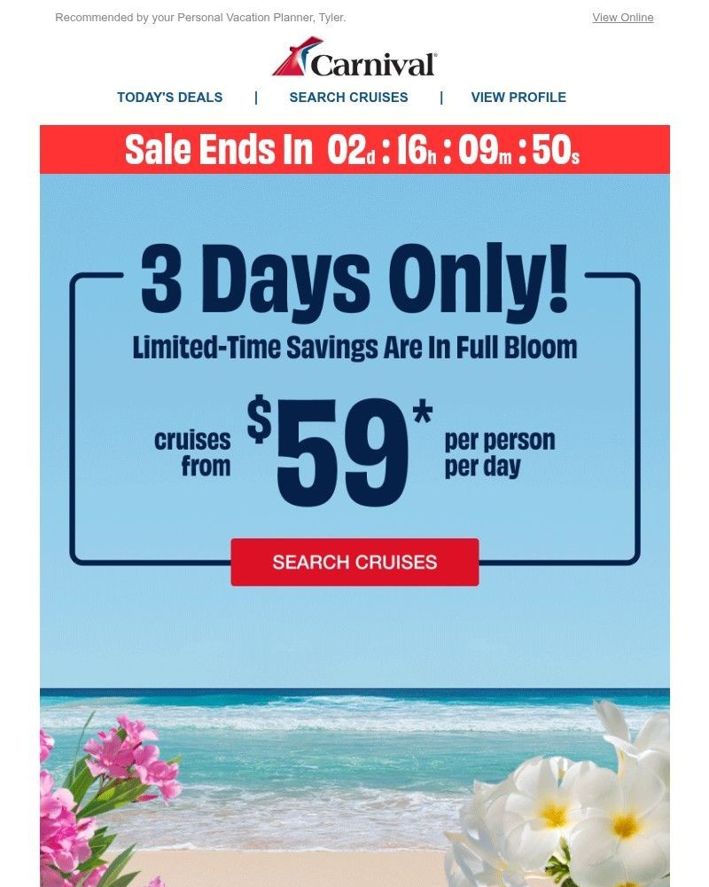 Screenshot of email with subject /media/emails/new-3-days-only-deal-295fbc-cropped-9d3c7cb6.jpg