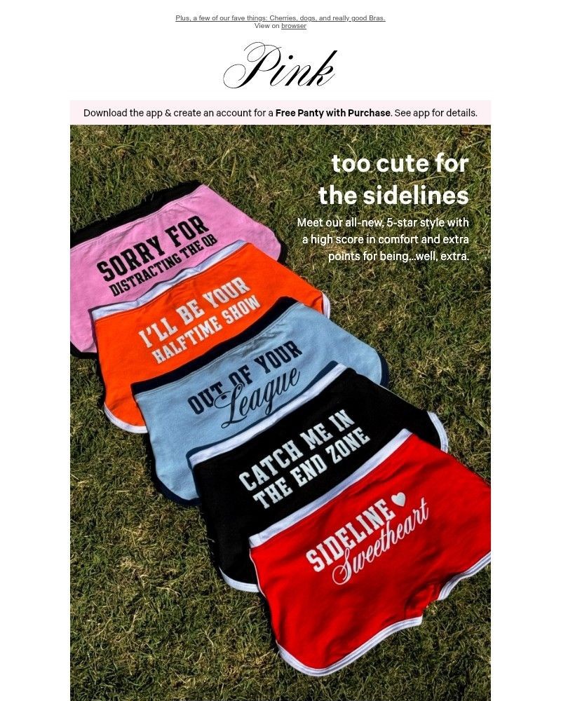 Screenshot of email with subject /media/emails/new-5-star-dorm-boyshorts-5febd8-cropped-580516fa.jpg