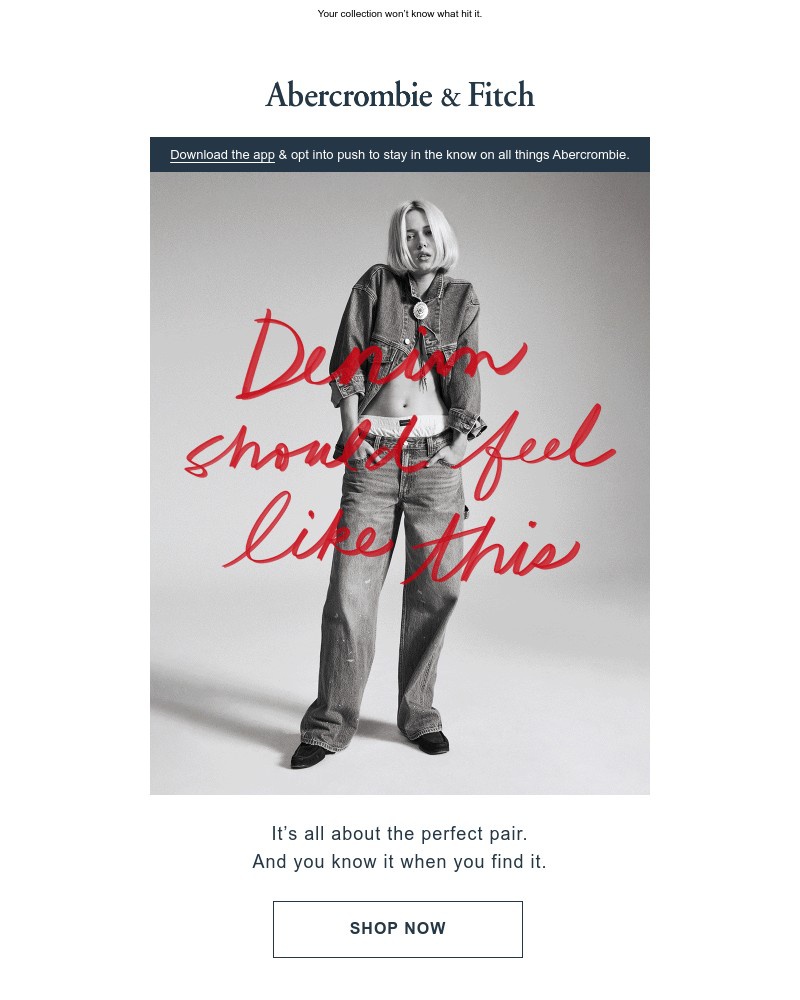 Screenshot of email with subject /media/emails/new-abercrombie-denim-just-launched-8cfc83-cropped-386a0ce8.jpg