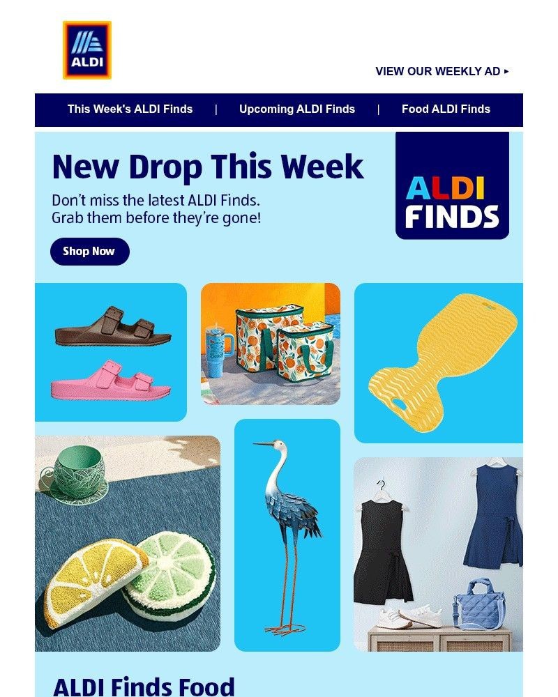 Screenshot of email sent to a Aldi Newsletter subscriber