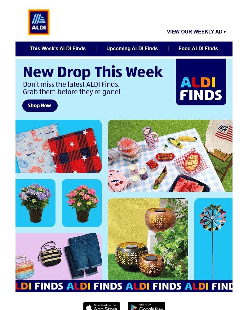Screenshot of email sent to a Aldi Newsletter subscriber