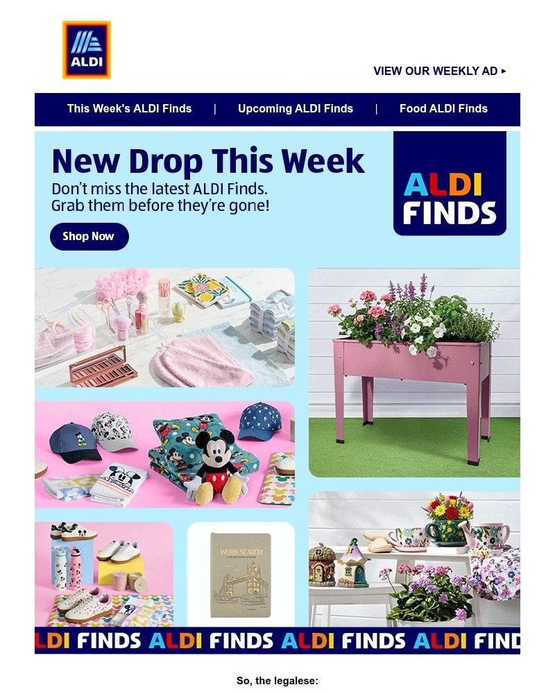 Screenshot of email sent to a Aldi Newsletter subscriber