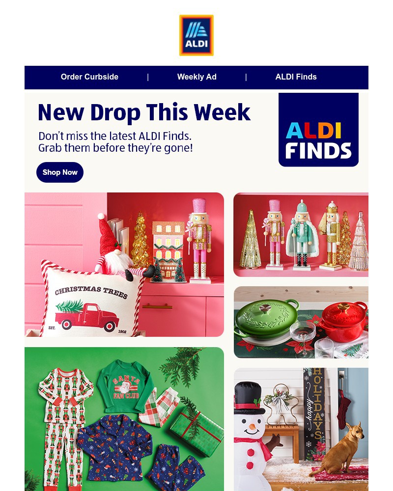 Screenshot of email with subject /media/emails/new-aldifinds-are-here-run-dont-walk-ec9657-cropped-0569edf6.jpg