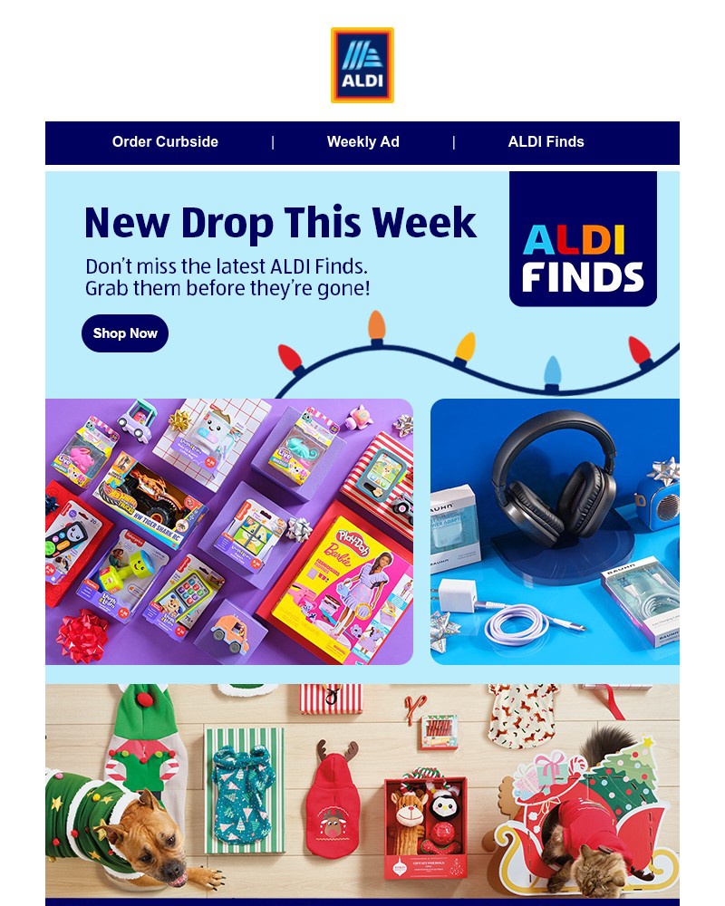 Screenshot of email with subject /media/emails/new-aldifinds-are-here-run-dont-walk-f90fd5-cropped-a6011f70.jpg