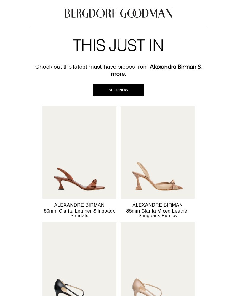 Screenshot of email with subject /media/emails/new-alexandre-birman-more-have-arrived-8e490f-cropped-a93bbd85.jpg