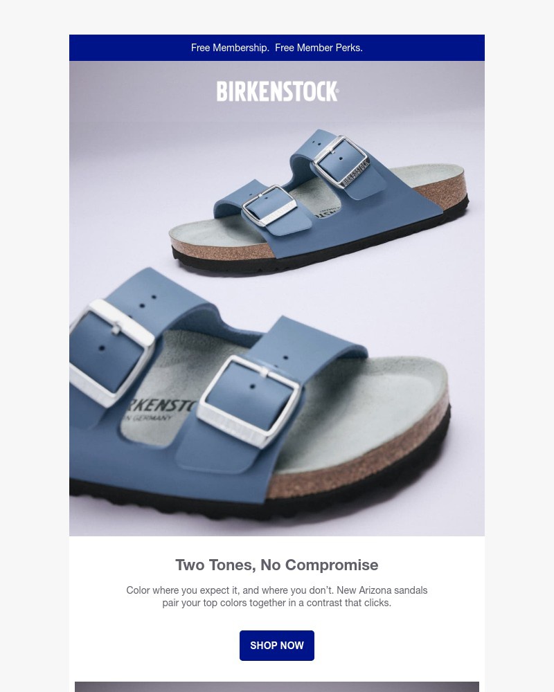 Screenshot of email with subject /media/emails/new-arizona-two-straps-two-tones-a-whole-new-look-f2ccbb-cropped-9ee27791.jpg