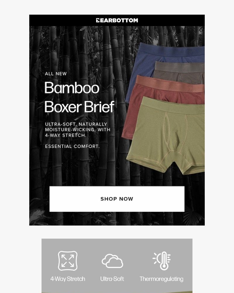 Screenshot of email with subject /media/emails/new-arrival-bamboo-boxer-brief-d8770f-cropped-80967fce.jpg