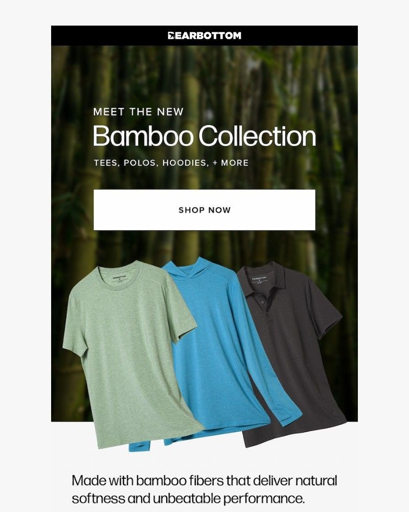 Screenshot of email sent to a Bearbottom Clothing Newsletter subscriber