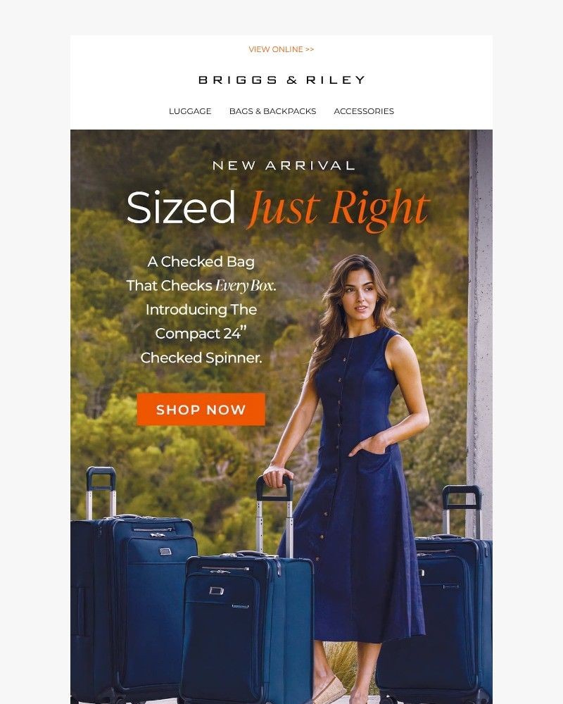 Screenshot of email with subject /media/emails/new-arrival-our-most-requested-checked-bag-6d850b-cropped-793ef8b4.jpg