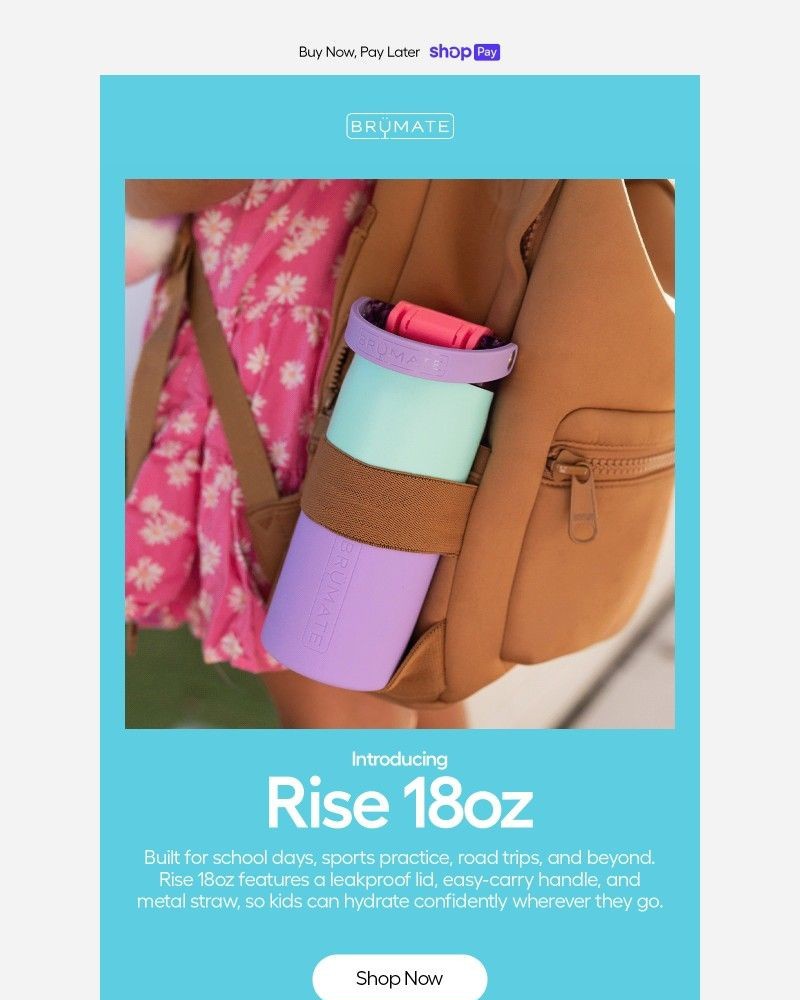 Screenshot of email sent to a BruMate Newsletter subscriber