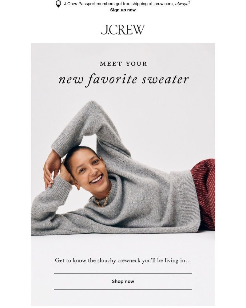 Screenshot of email with subject /media/emails/new-arrival-the-ultimate-fall-sweater-7b269d-cropped-02f1e373.jpg