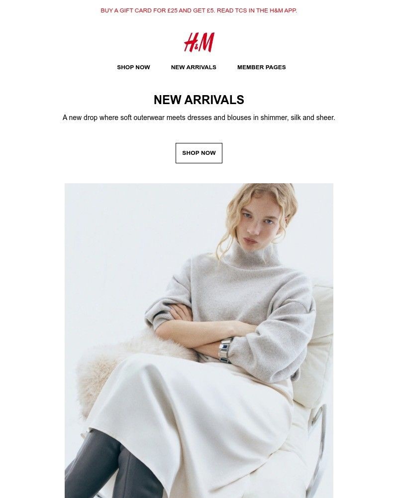 Screenshot of email with subject /media/emails/new-arrivals-015981-cropped-9060264f.jpg