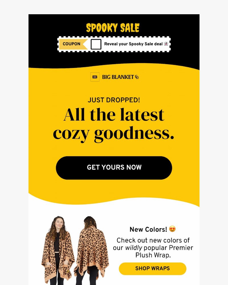 Screenshot of email sent to a Big Blanket Co. Newsletter subscriber