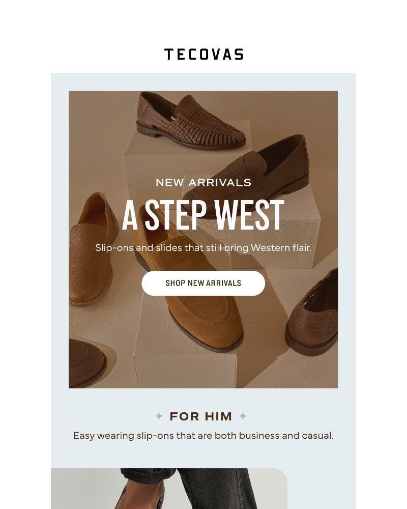 Screenshot of email with subject /media/emails/new-arrivals-2525e6-cropped-a771d961.jpg