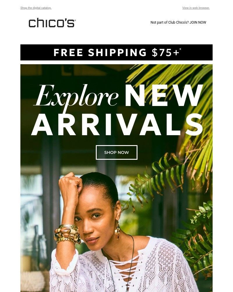 Screenshot of email sent to a Chico’s Newsletter subscriber