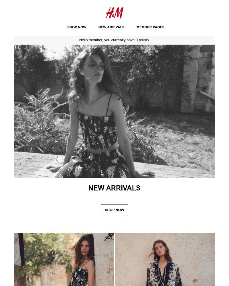 Screenshot of email with subject /media/emails/new-arrivals-402384-cropped-b25cf086.jpg