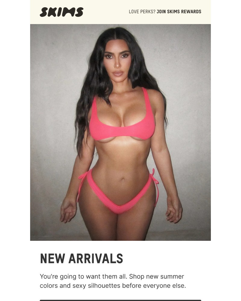 Screenshot of email with subject /media/emails/new-arrivals-are-here-127c87-cropped-b3a4fda8.jpg
