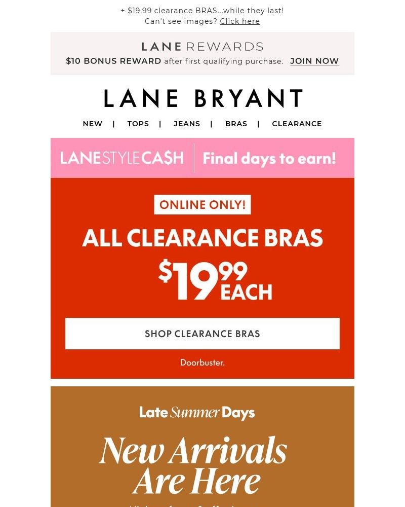 Screenshot of email with subject /media/emails/new-arrivals-are-here-30-off-7abd4a-cropped-77403abc.jpg