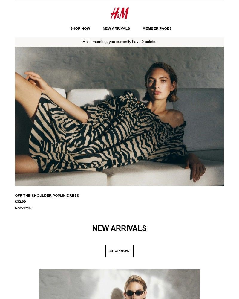 Screenshot of email with subject /media/emails/new-arrivals-b1ce74-cropped-91e04c87.jpg