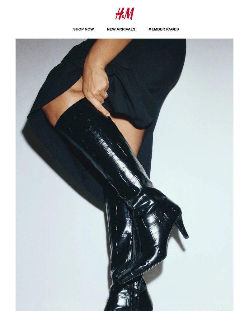 Screenshot of email with subject /media/emails/new-arrivals-b888cf-cropped-058256bc.jpg