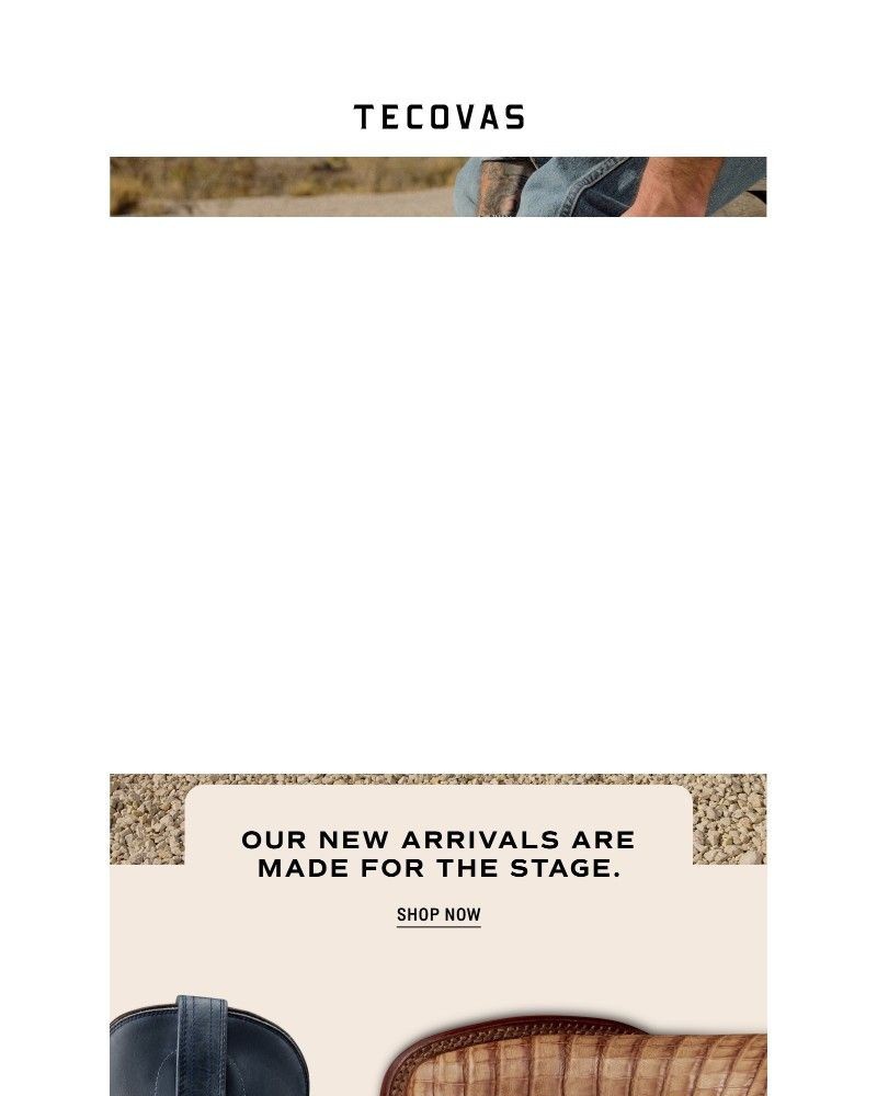 Screenshot of email with subject /media/emails/new-arrivals-d05c5e-cropped-538cc1f5.jpg