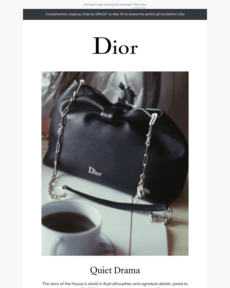 Screenshot of email sent to a Dior Newsletter subscriber