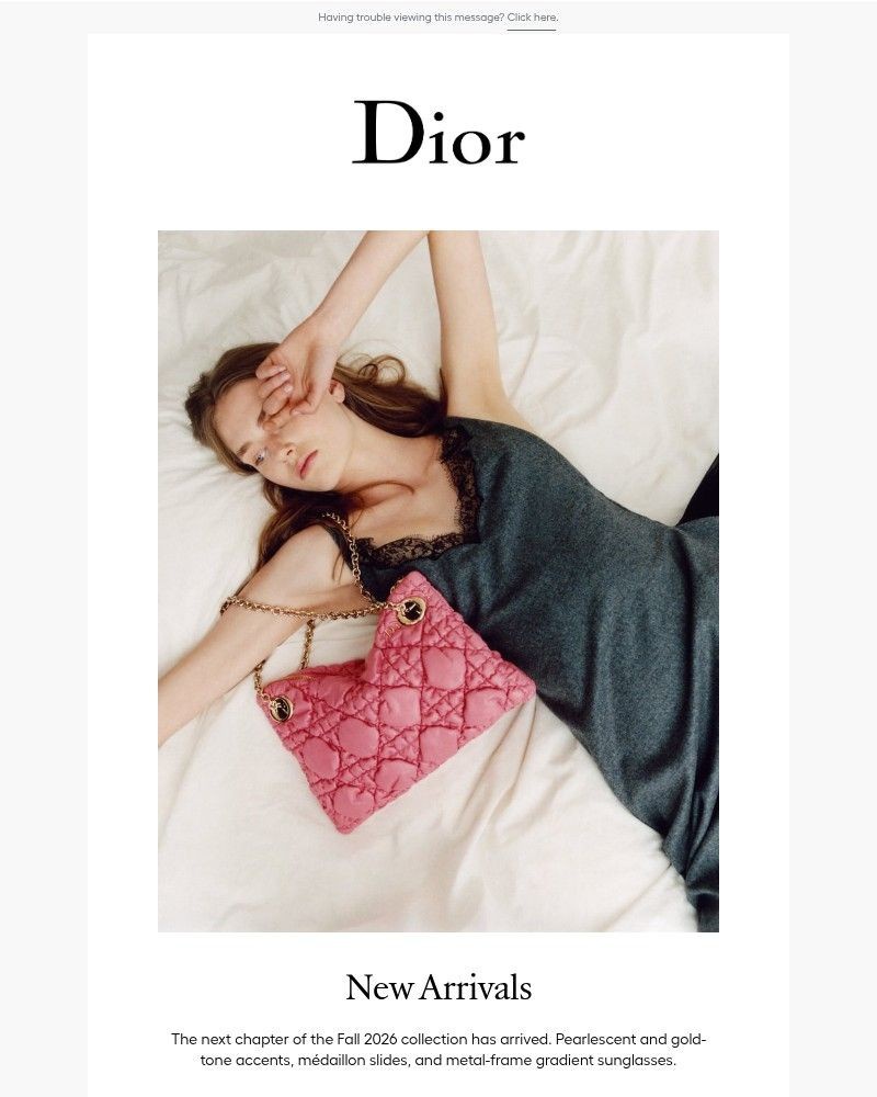 Screenshot of email sent to a Dior Newsletter subscriber