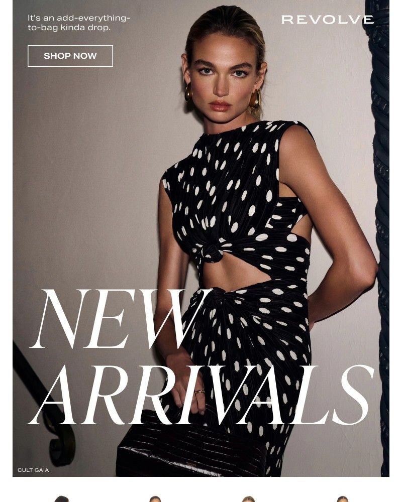 Screenshot of email with subject /media/emails/new-arrivals-from-more-to-come-frankies-bikinis-more-19ec75-cropped-4ab3fb39.jpg