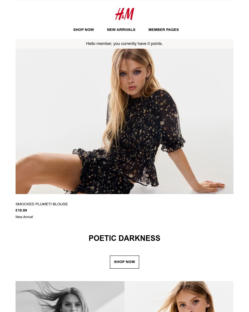 Screenshot of email with subject /media/emails/new-arrivals-in-darker-hues-630973-cropped-17267cb8.jpg