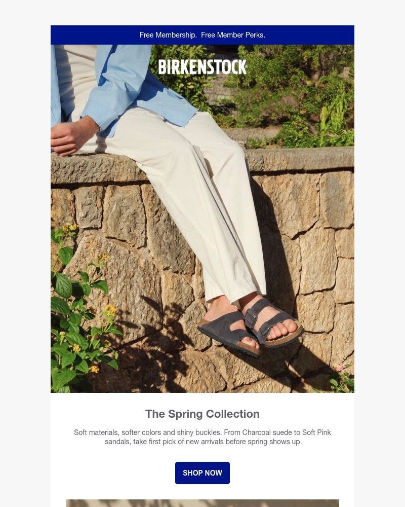 Screenshot of email sent to a Birkenstock Newsletter subscriber