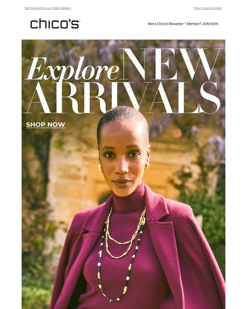 Screenshot of email with subject /media/emails/new-arrivals-town-country-8d0498-cropped-d3d601f6.jpg