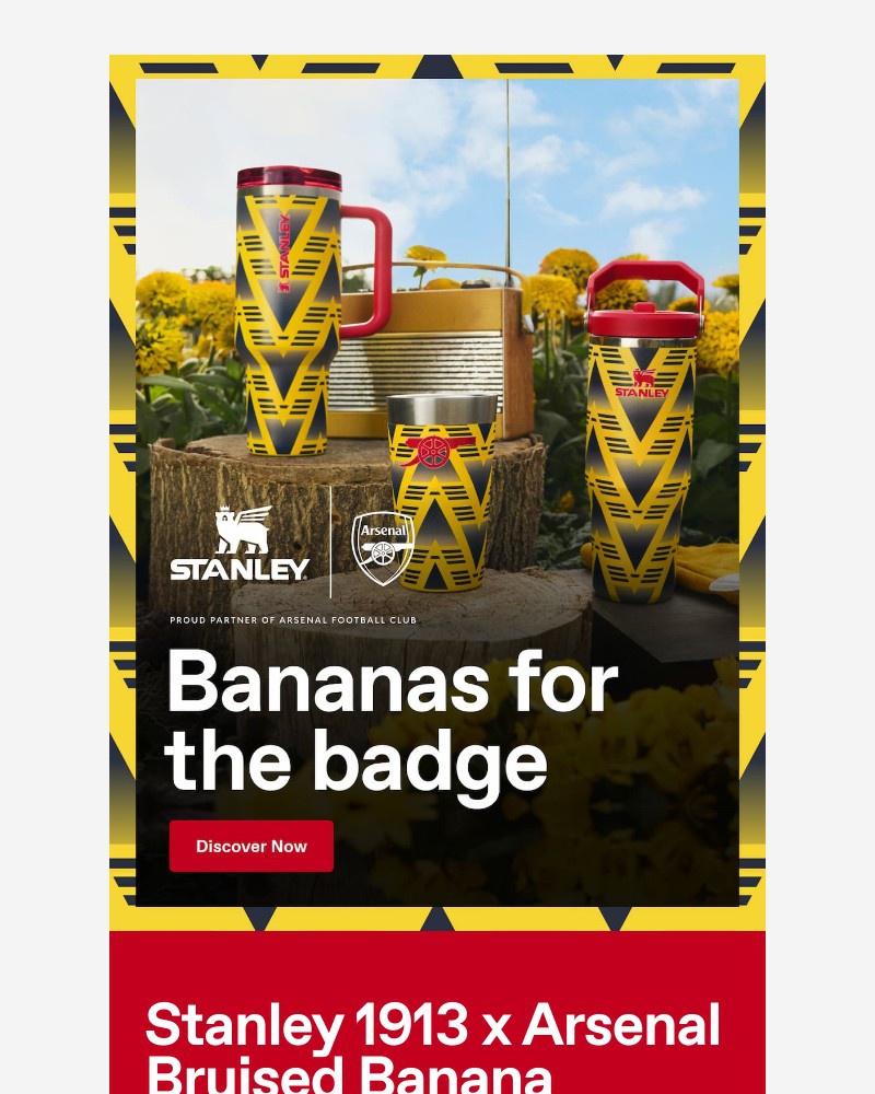 Screenshot of email sent to a Stanley Newsletter subscriber