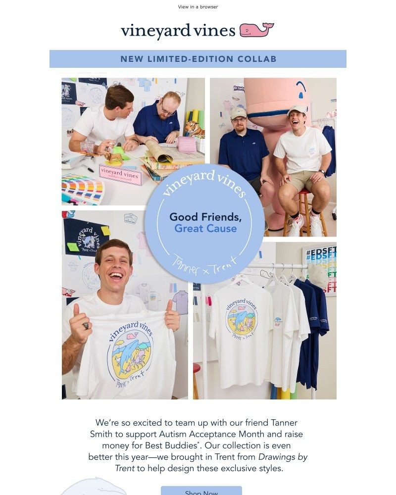 Screenshot of email sent to a Vineyard Vines Newsletter subscriber